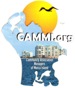 CAMMI LOGO